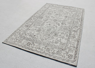 Dynamic Rugs Legend 7486 Ivory/Natural Area Rug Room Scene Feature