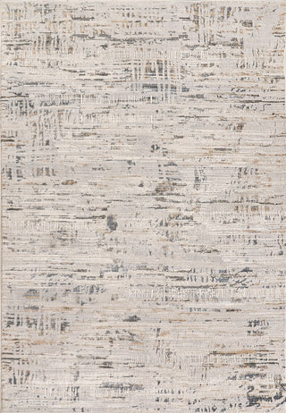 Dynamic Rugs Marina 8055 White/Grey Area Rug main image
