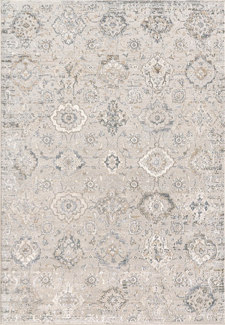 Dynamic Rugs Marina 8057 White/Grey Area Rug main image