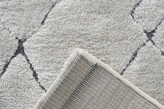 Dynamic Rugs Masai 14005 Ivory Area Rug