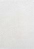 Dynamic Rugs Masai 14024 White Area Rug main image