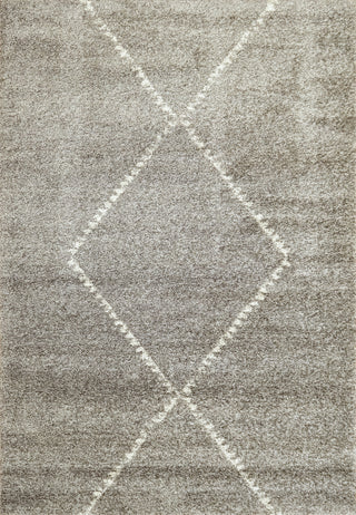 Dynamic Rugs Mehari 23229 Grey Area Rug