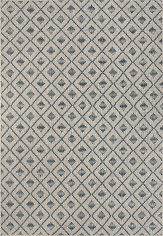 Dynamic Rugs Melissa 4232 Grey/Blue Area Rug