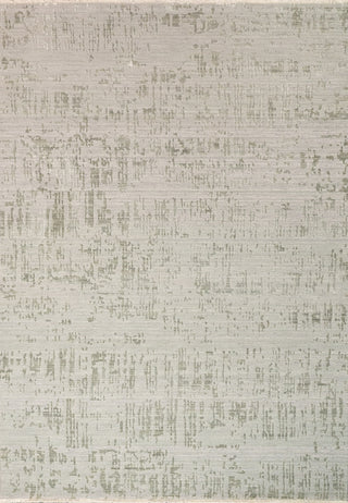 Dynamic Rugs Mesa 9748 Mint Green/Taupe Area Rug main image