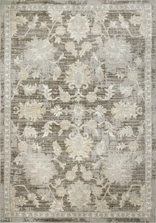 Dynamic Rugs Momentum 61794 Grey/Taupe/Ivory Area Rug main image