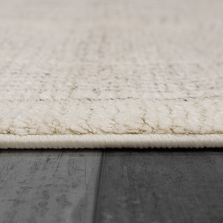 Dynamic Rugs Monroe 9801 Beige/Grey Area Rug Detail