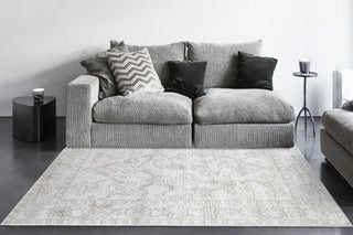 Dynamic Rugs Monroe 9802 Beige/Grey Area Rug Room Scene Feature