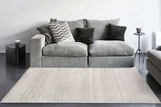 Dynamic Rugs Monroe 9804 Beige/Grey Area Rug Room Scene Feature