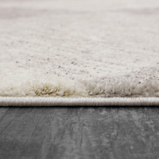 Dynamic Rugs Monroe 9812 Ivory/Grey Area Rug Detail