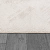 Dynamic Rugs Montrose 1781 Cream/Beige Area Rug Detail