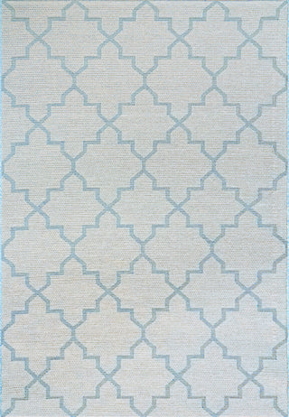 Dynamic Rugs Newport 96003 Blue Area Rug