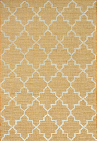 Dynamic Rugs Newport 96003 Orange Area Rug