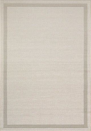 Dynamic Rugs Newport 96007 Beige Area Rug