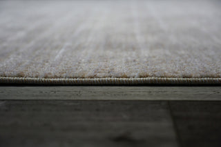 Dynamic Rugs Olivia 12732 Ivory/Grey Area Rug Detail