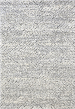 Dynamic Rugs Pike 11200 Grey/Dark Grey Area Rug main image