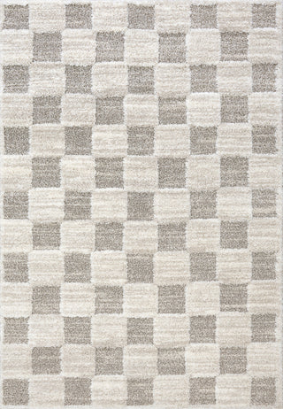 Dynamic Rugs Pike 11203 Ivory/Grey Area Rug main image