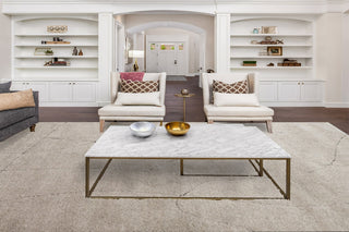 Dynamic Rugs Pike 11207 Beige Area Rug Room Scene Feature