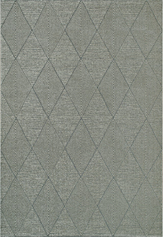 Dynamic Rugs Quin 41006 Dark Grey Area Rug