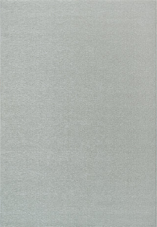 Dynamic Rugs Quin 41008 Light Grey Area Rug