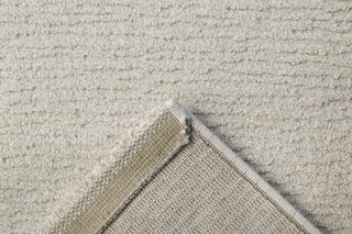 Dynamic Rugs Quin 41008 Ivory Area Rug