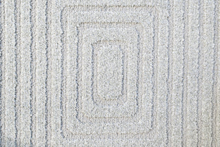 Dynamic Rugs Quin 41009 Light Grey Area Rug