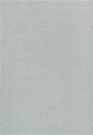 Dynamic Rugs Quin 41009 Light Grey Area Rug