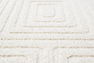 Dynamic Rugs Quin 41009 Ivory Area Rug