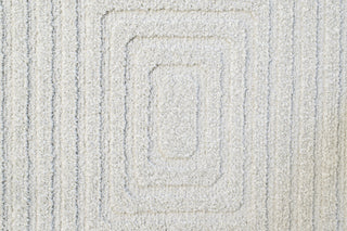 Dynamic Rugs Quin 41009 Ivory Area Rug