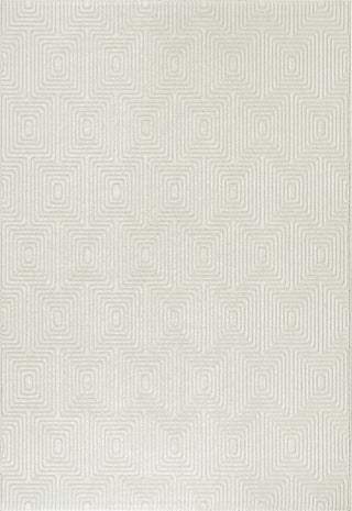 Dynamic Rugs Quin 41009 Ivory Area Rug