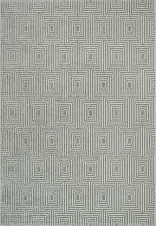 Dynamic Rugs Quin 41009 Grey Area Rug