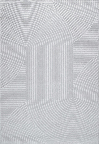 Dynamic Rugs Quin 41061 Ivory Area Rug main image