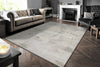 Dynamic Rugs Renaissance 3153 Ivory/Grey Area Rug Room Scene Feature