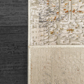 Dynamic Rugs Renaissance 3155 Ivory/Multi Area Rug