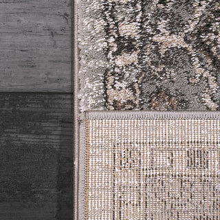 Dynamic Rugs Riley 6035 Grey/Beige Area Rug