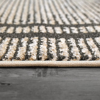 Dynamic Rugs Robin 1150 Beige/Taupe/Charcoal Area Rug