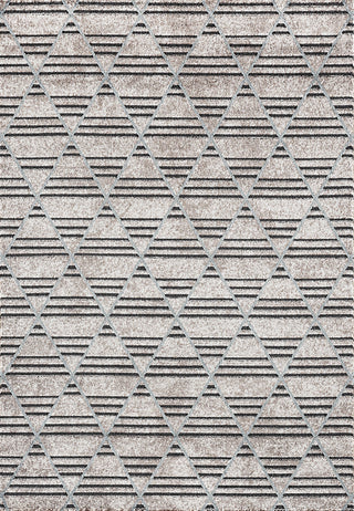 Dynamic Rugs Robin 1156 Taupe/Dark Grey/Light Blue Area Rug