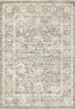 Dynamic Rugs Rojin 4180 Grey/Navy/Multi Area Rug main image