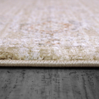 Dynamic Rugs Rojin 4180 Grey/Be Area Rug Detail
