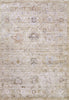 Dynamic Rugs Rojin 4180 Grey/Be Area Rug main image