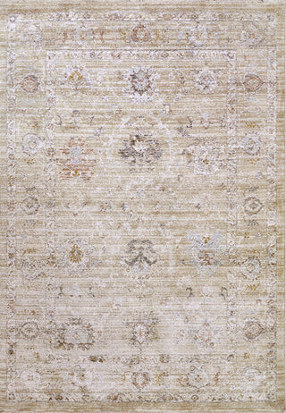 Dynamic Rugs Rojin 4180 Grey/Be Area Rug main image