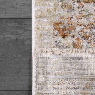 Dynamic Rugs Rojin 4181 Grey/Beige/Multi Area Rug Corner Shot