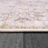 Dynamic Rugs Rojin 4181 Grey/Beige/Multi Area Rug Detail