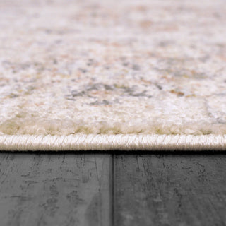 Dynamic Rugs Rojin 4181 Grey/Beige/Multi Area Rug Detail