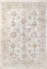 Dynamic Rugs Rojin 4181 Grey/Beige/Multi Area Rug main image