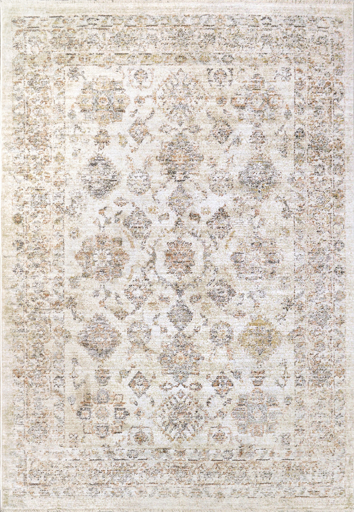 Dynamic Rugs Rojin 4181 Grey/Beige/Multi Area Rug main image