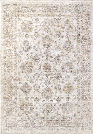 Dynamic Rugs Rojin 4181 Grey/Beige/Multi Area Rug main image