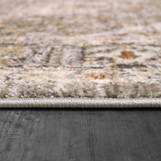 Dynamic Rugs Rojin 4182 Grey/Dark Grey Area Rug Detail