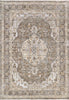 Dynamic Rugs Rojin 4182 Grey/Dark Grey Area Rug main image