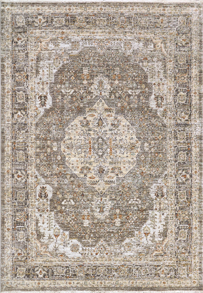 Dynamic Rugs Rojin 4182 Grey/Dark Grey Area Rug main image