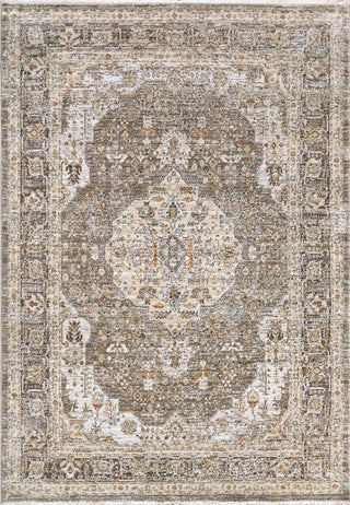 Dynamic Rugs Rojin 4182 Grey/Dark Grey Area Rug main image